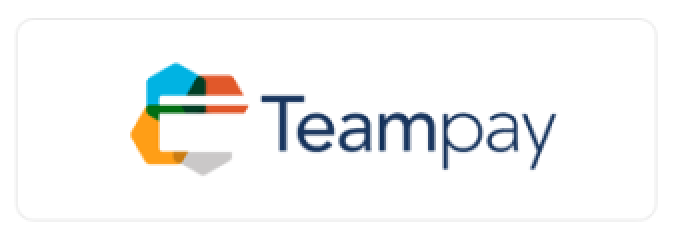 logo card teampay